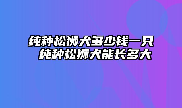 纯种松狮犬多少钱一只 纯种松狮犬能长多大