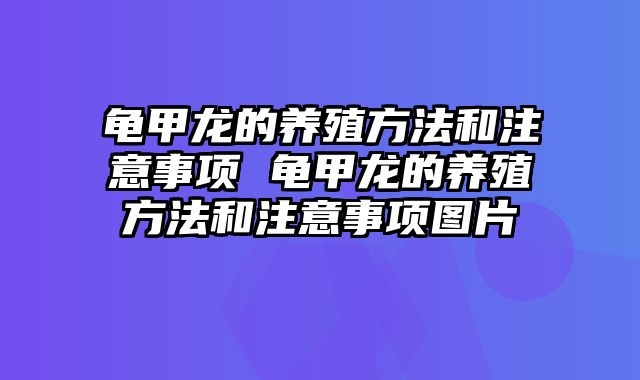 龟甲龙的养殖方法和注意事项 龟甲龙的养殖方法和注意事项图片