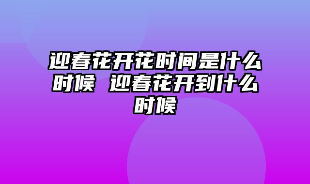 迎春花开花时间是什么时候 迎春花开到什么时候