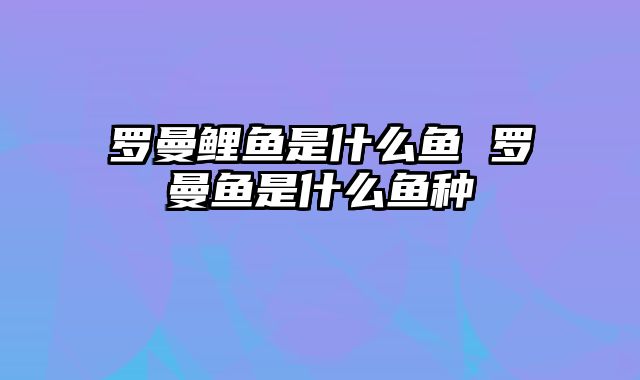 罗曼鲤鱼是什么鱼 罗曼鱼是什么鱼种