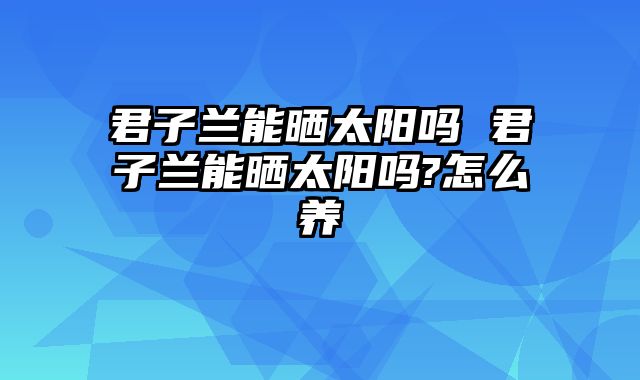 君子兰能晒太阳吗 君子兰能晒太阳吗?怎么养
