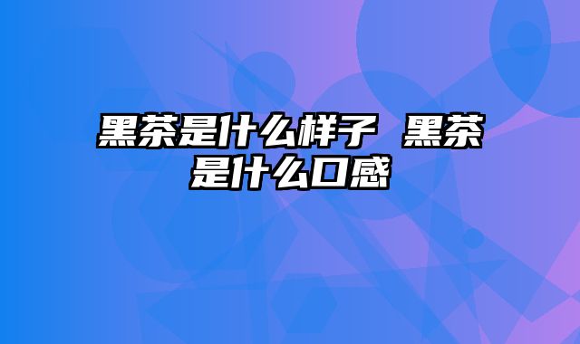 黑茶是什么样子 黑茶是什么口感