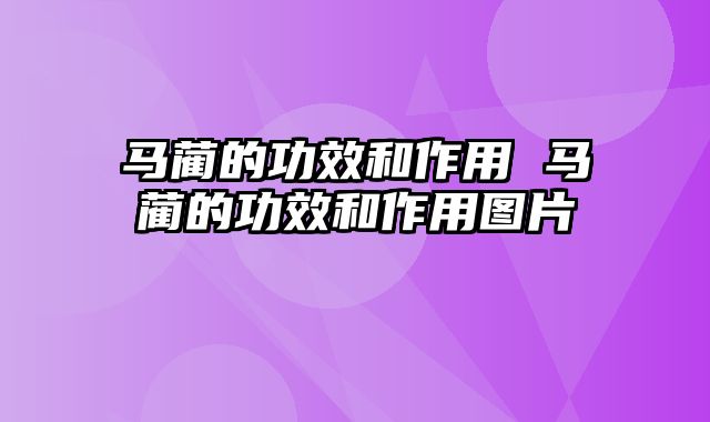 马蔺的功效和作用 马蔺的功效和作用图片