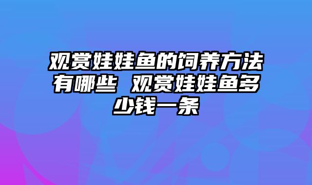 观赏娃娃鱼的饲养方法有哪些 观赏娃娃鱼多少钱一条