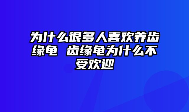 为什么很多人喜欢养齿缘龟 齿缘龟为什么不受欢迎