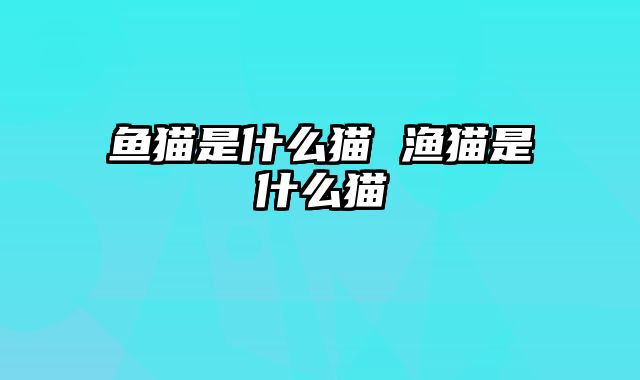 鱼猫是什么猫 渔猫是什么猫