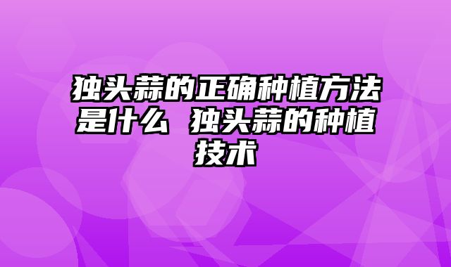 独头蒜的正确种植方法是什么 独头蒜的种植技术