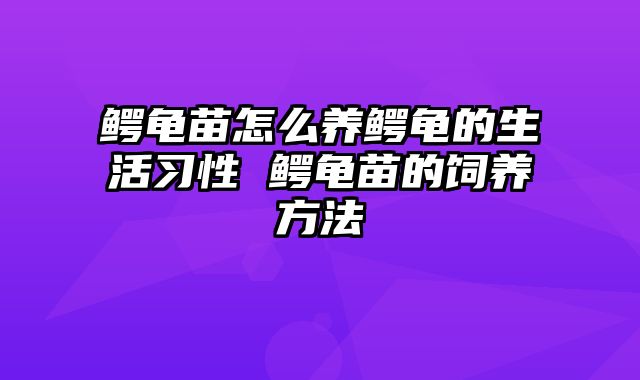 鳄龟苗怎么养鳄龟的生活习性 鳄龟苗的饲养方法