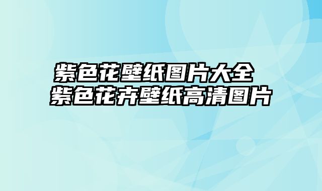 紫色花壁纸图片大全 紫色花卉壁纸高清图片
