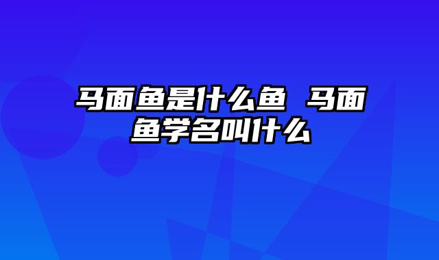 马面鱼是什么鱼 马面鱼学名叫什么