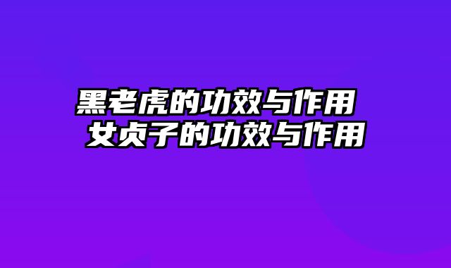 黑老虎的功效与作用 女贞子的功效与作用
