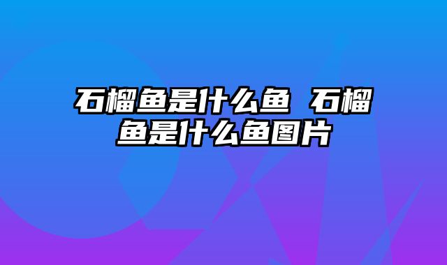 石榴鱼是什么鱼 石榴鱼是什么鱼图片
