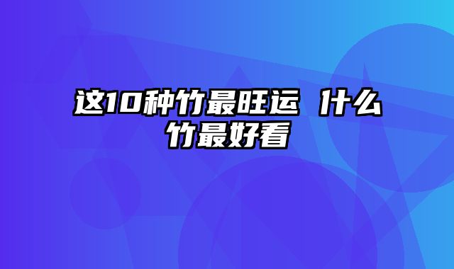 这10种竹最旺运 什么竹最好看