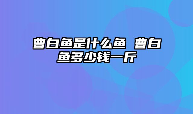 曹白鱼是什么鱼 曹白鱼多少钱一斤