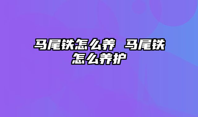 马尾铁怎么养 马尾铁怎么养护