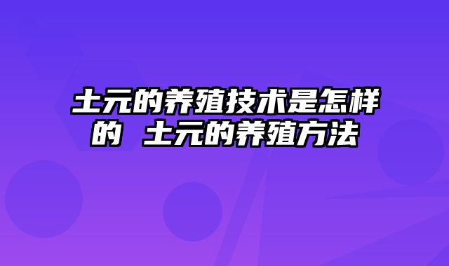 土元的养殖技术是怎样的 土元的养殖方法