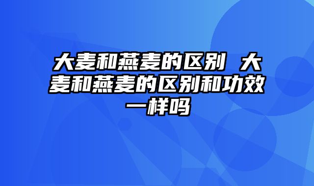 大麦和燕麦的区别 大麦和燕麦的区别和功效一样吗