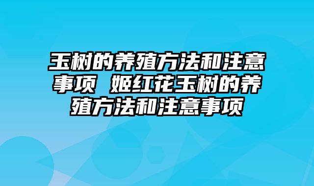 玉树的养殖方法和注意事项 姬红花玉树的养殖方法和注意事项