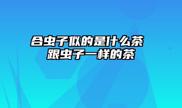 合虫子似的是什么茶 跟虫子一样的茶