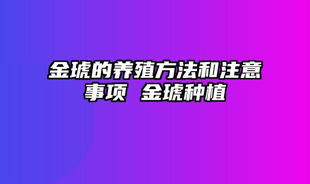 金琥的养殖方法和注意事项 金琥种植