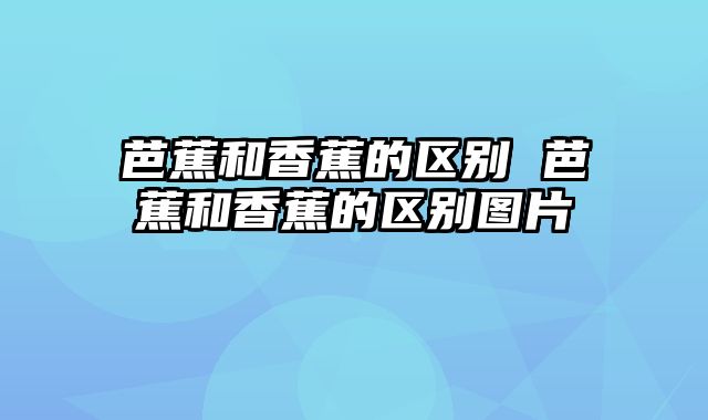 芭蕉和香蕉的区别 芭蕉和香蕉的区别图片