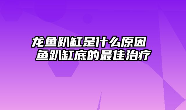 龙鱼趴缸是什么原因 鱼趴缸底的最佳治疗