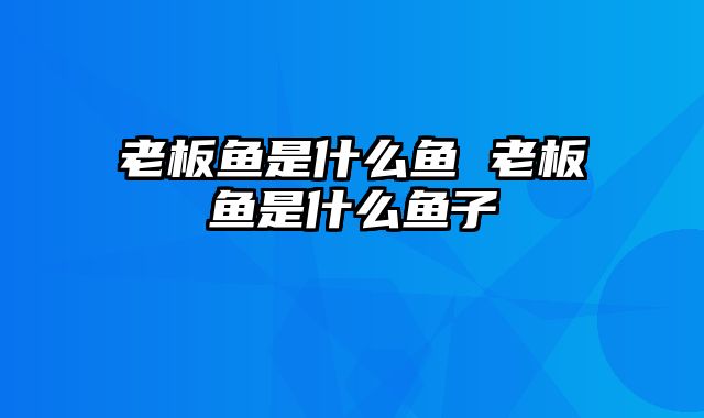 老板鱼是什么鱼 老板鱼是什么鱼子