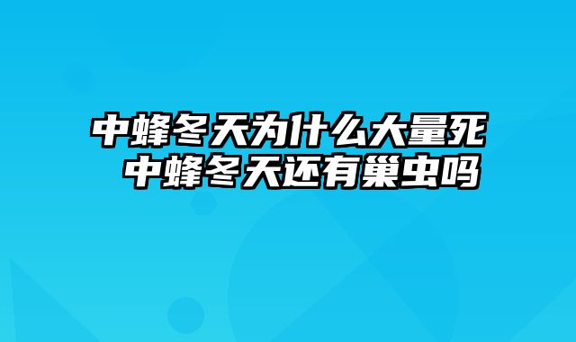 中蜂冬天为什么大量死 中蜂冬天还有巢虫吗