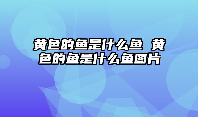 黄色的鱼是什么鱼 黄色的鱼是什么鱼图片