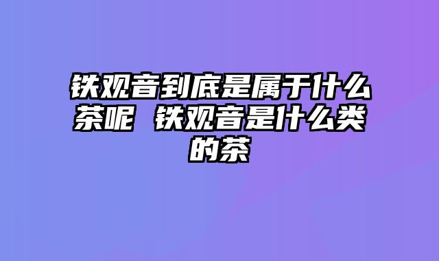 铁观音到底是属于什么茶呢 铁观音是什么类的茶