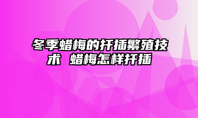 冬季蜡梅的扦插繁殖技术 蜡梅怎样扦插