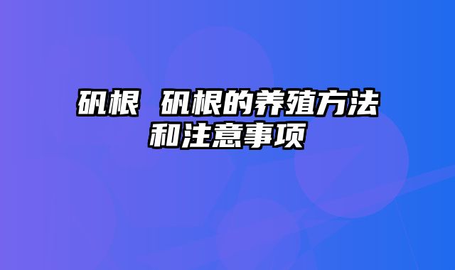 矾根 矾根的养殖方法和注意事项
