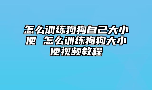 怎么训练狗狗自己大小便 怎么训练狗狗大小便视频教程