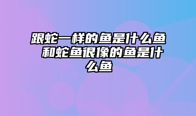 跟蛇一样的鱼是什么鱼 和蛇鱼很像的鱼是什么鱼