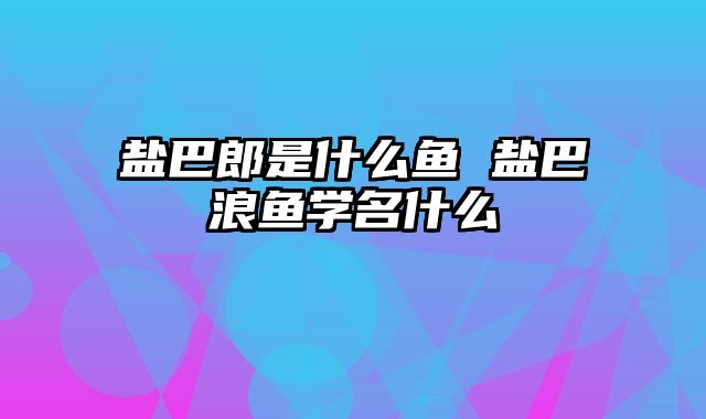 盐巴郎是什么鱼 盐巴浪鱼学名什么