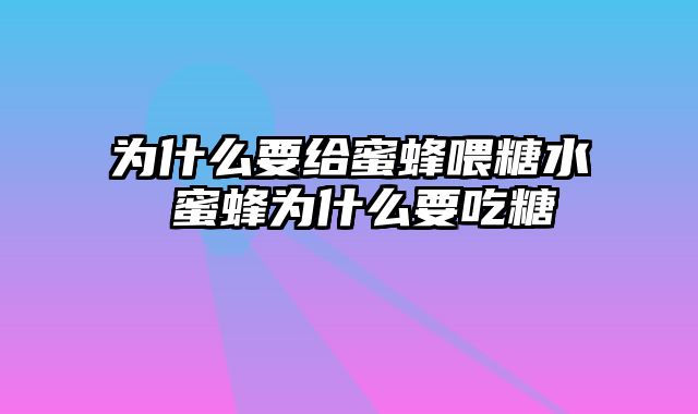 为什么要给蜜蜂喂糖水 蜜蜂为什么要吃糖