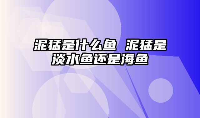 泥猛是什么鱼 泥猛是淡水鱼还是海鱼