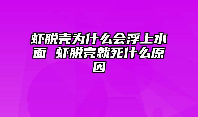 虾脱壳为什么会浮上水面 虾脱壳就死什么原因