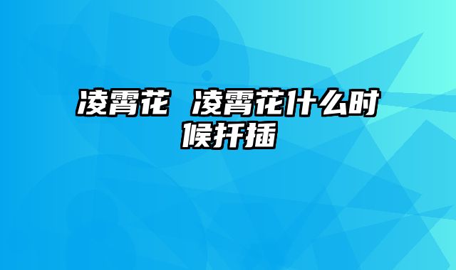凌霄花 凌霄花什么时候扦插