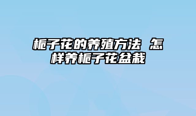 栀子花的养殖方法 怎样养栀子花盆栽