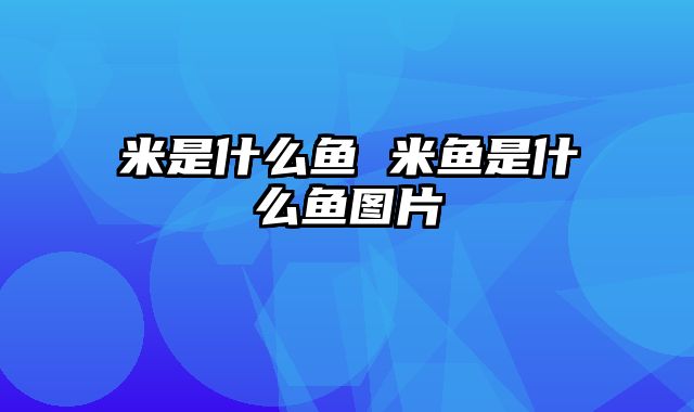 米是什么鱼 米鱼是什么鱼图片