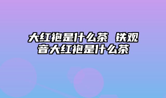 大红袍是什么茶 铁观音大红袍是什么茶