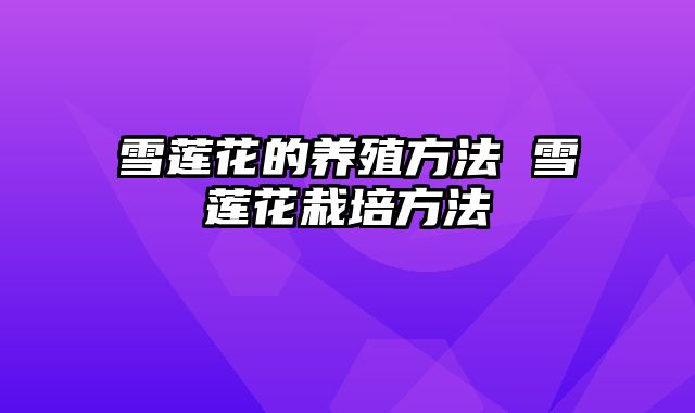 雪莲花的养殖方法 雪莲花栽培方法