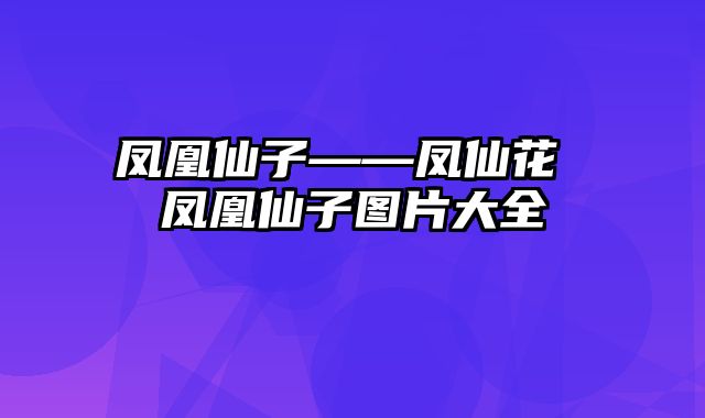 凤凰仙子——凤仙花 凤凰仙子图片大全