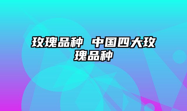 玫瑰品种 中国四大玫瑰品种