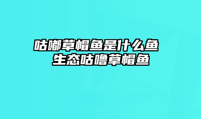 咕嘟草帽鱼是什么鱼 生态咕噜草帽鱼