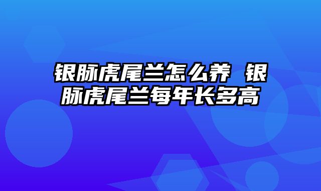 银脉虎尾兰怎么养 银脉虎尾兰每年长多高