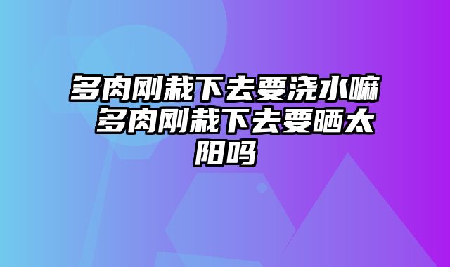 多肉刚栽下去要浇水嘛 多肉刚栽下去要晒太阳吗