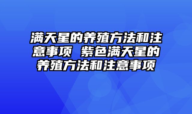 满天星的养殖方法和注意事项 紫色满天星的养殖方法和注意事项