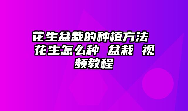 花生盆栽的种植方法 花生怎么种 盆栽 视频教程